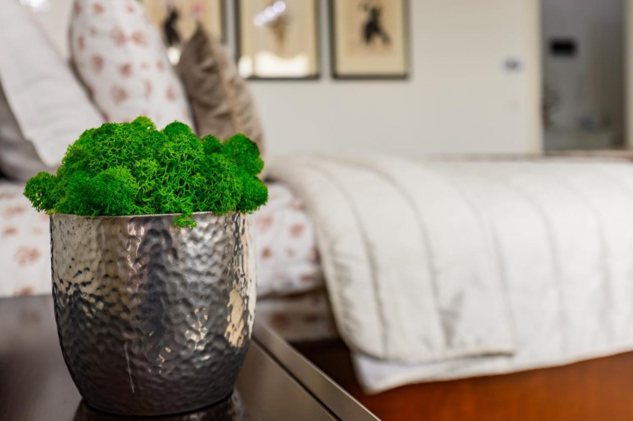 Luxury Apartment Avantgarden 3 Μπρασόβ Εξωτερικό φωτογραφία